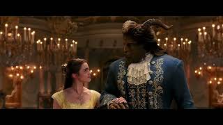 Beauty and the Beast Sing Along Version Emma Watson (Lyrics)