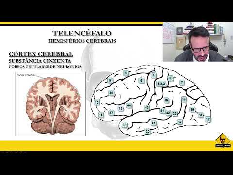 TUDO QUE VOCÊ PRECISA SABER SOBRE AVC!