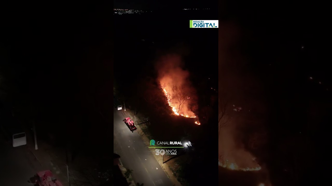 Drone mostra rastro de incêndio em área de vegetação em São Carlos (SP)