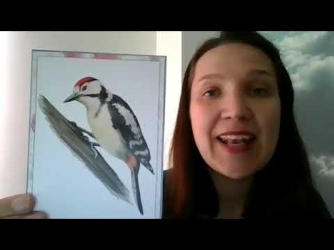 Bendroji artikuliacinė mankšta "Drambliuko laiškas"