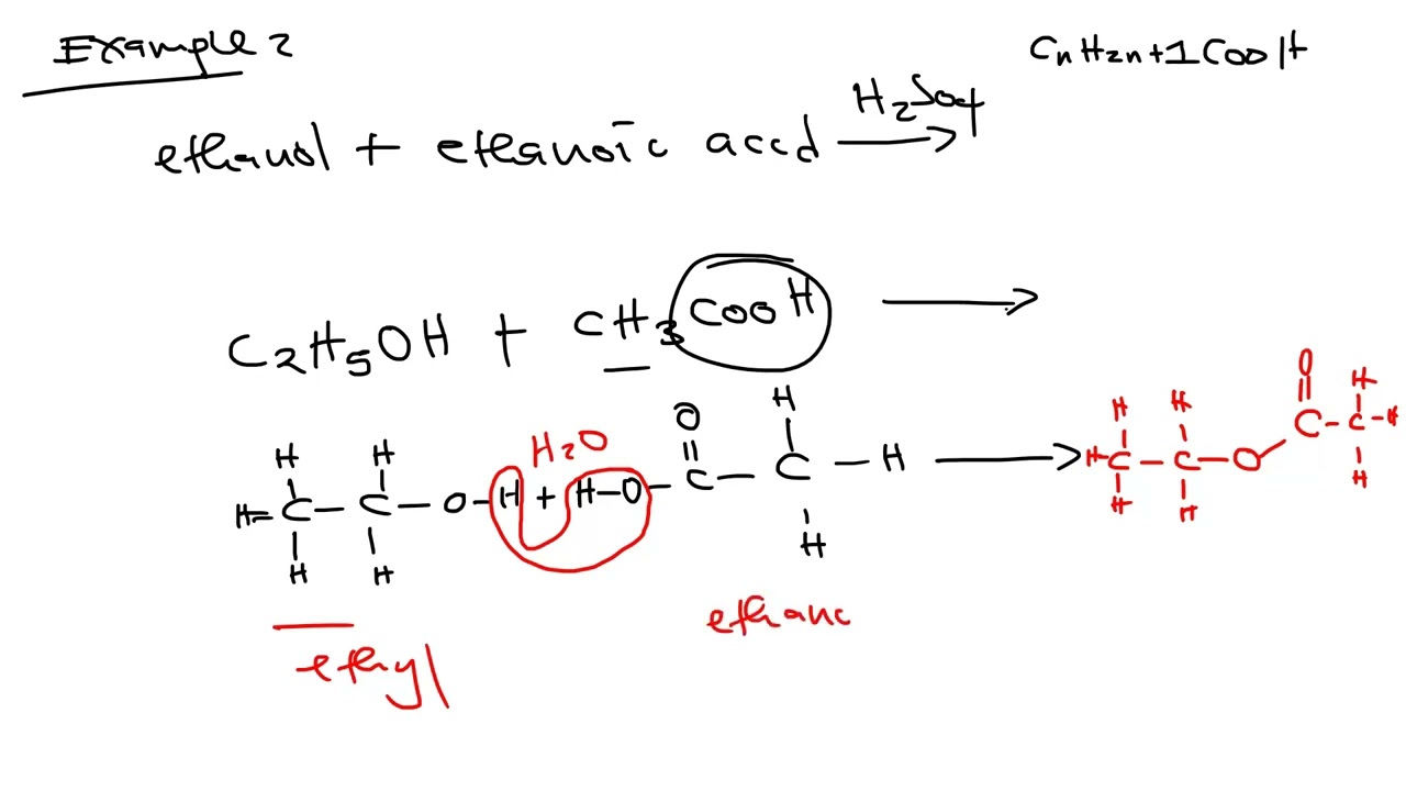 ORGANIC CHEMISTRY LESSON 5- ESTERSS