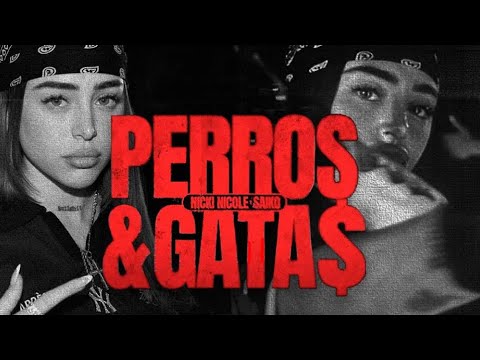Nicki NiCOLE ,SAIKO - PERROS & GATA$ (Lyrics video)