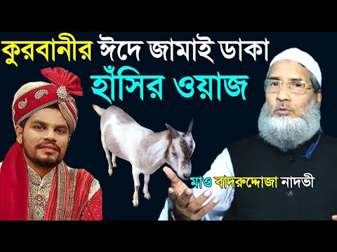 কুরবানীর ঈদে জামাই ডাকা হাঁসির ওয়াজ | Maulana Badrudduja Nadvi | Islamic Arif