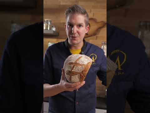 Emmer spelt Anno bread with grains from "Yesterday" #shorts #marcelpaa #easybaking