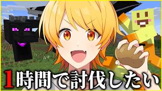 【エンドラRTA】1時間切りドラゴンスレイヤーに俺はなる3【STPR/AMPTAK】【マイクラ】