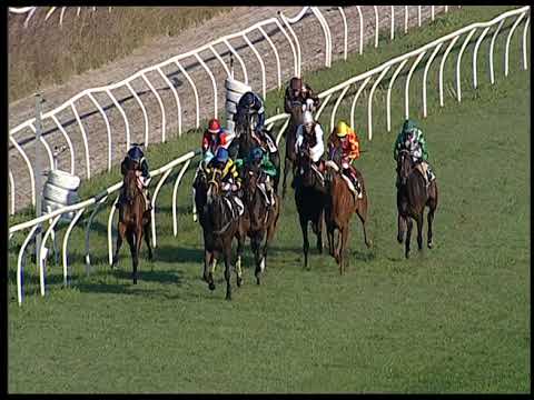 Napoli Galoppo 01/12/2022 - 2ª corsa