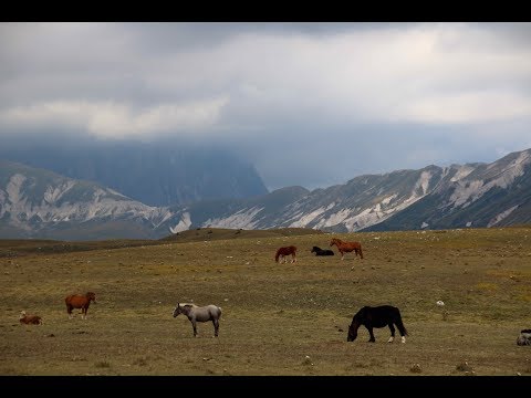 Fall 2018 Campolattaro