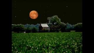 Under The Whiskey Moon - Joe And Ronny