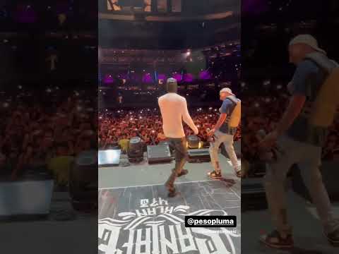 Santa Fe Klan & Peso Pluma 🧡🧡🔥 #fyp #473music #santafeklan #xyzbca #pesopluma #elbelicon