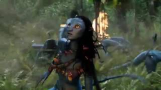 Avatar asalt on hometree