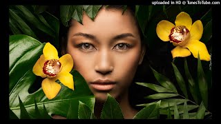 Ashanti - Feat Star of F.A.M. - Pretty Little Flower - Seto Remix 21