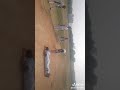 Comedy Happy Funny Cricket Vadivelu Dhoni Virat Ronaldo Love Friends