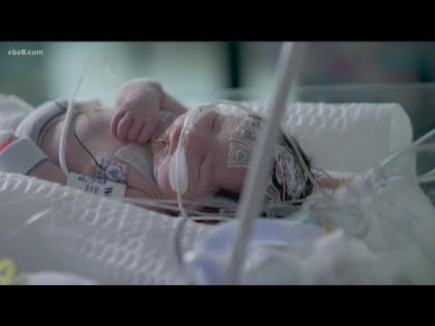 Growing Up San Diego: Project Baby Bear is first of its kind in U.S.