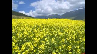 Antonio Vivaldi - Trio Sonata RV82 in C major 2/3