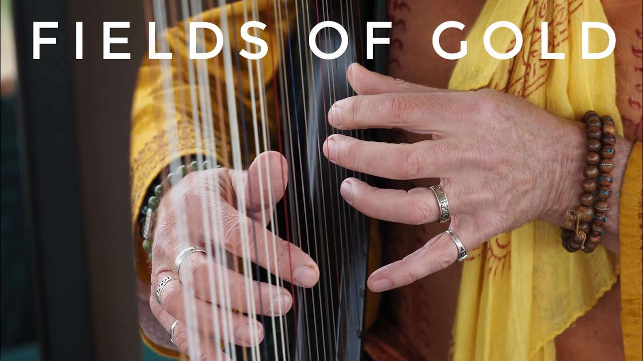 Promotional video thumbnail 3 for Jay Michaels Harp