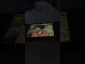 Sesame Street Episode 2059 Ending