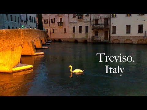 The City of Treviso, Italy