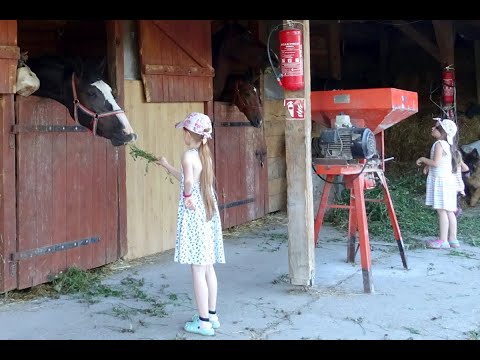 Wakacje 2022 Wola Mielecka