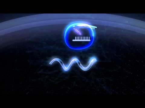 shRNA vs siRNA: Benitec's ddRNAi Explained