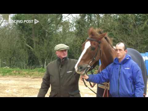 2017 Timico Cheltenham Gold Cup: Cue Card & Native River