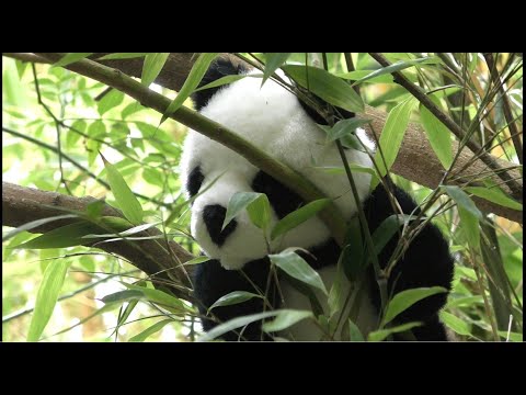 Morning Prayer –Thursday, 12th August 2021