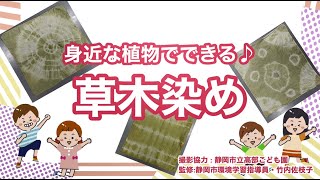 【生きもの元気通信vol.２】身近な植物でできる♪草木染め