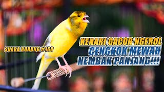 Download lagu SUARA BURUNG |160| Kenari GACOR PANJANG INI Cocok untuk Masteran KENARI PAUD dan Kenari Macet BUNYI mp3 Download lagu SUARA BURUNG |160| Kenari GACOR PANJANG INI Cocok untuk Masteran KENARI PAUD dan Kenari Macet BUNYI mp3