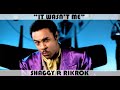 Shaggy Feat RikRok Vs Lady Saw Marsha It Wasn T Me Son Of A Bitch Dj Mike G Mix Dirty