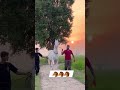 Beautiful Nukra Horse Horse Horseriding Nukra
