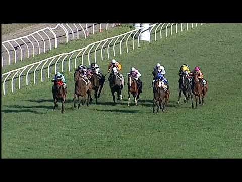 Napoli Galoppo 24/01/2023 - 3ª corsa