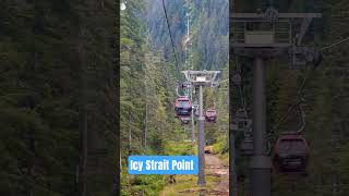 Alaska Cruise Itinerary #cruiseship #alaska #ncl #cruise #cruiselife #travel #alaskacruise #shorts