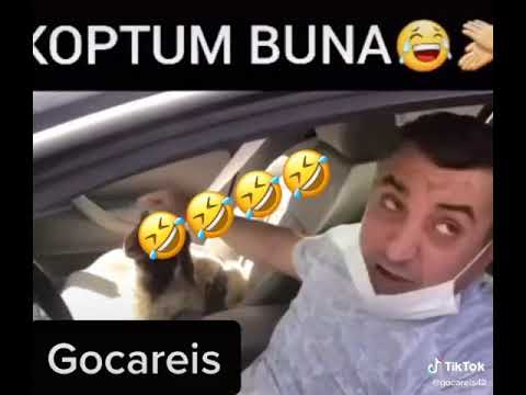 Allah'ını seven izlesin 🤣🤣🤣