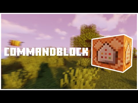 How does the COMMAND BLOCK work?  |  Kalimero2