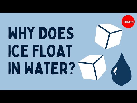 Why does ice float in water? – George Zaidan and Charles Morton