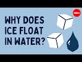Why Does Ice Float In Water George Zaidan And Charles Morton