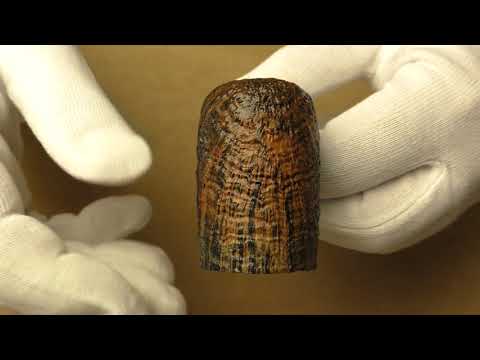 Radice Silk Cut - piber 609