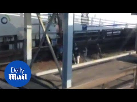 Migrants storm lorry on Channel Tunnel in Calais - Daily Mail