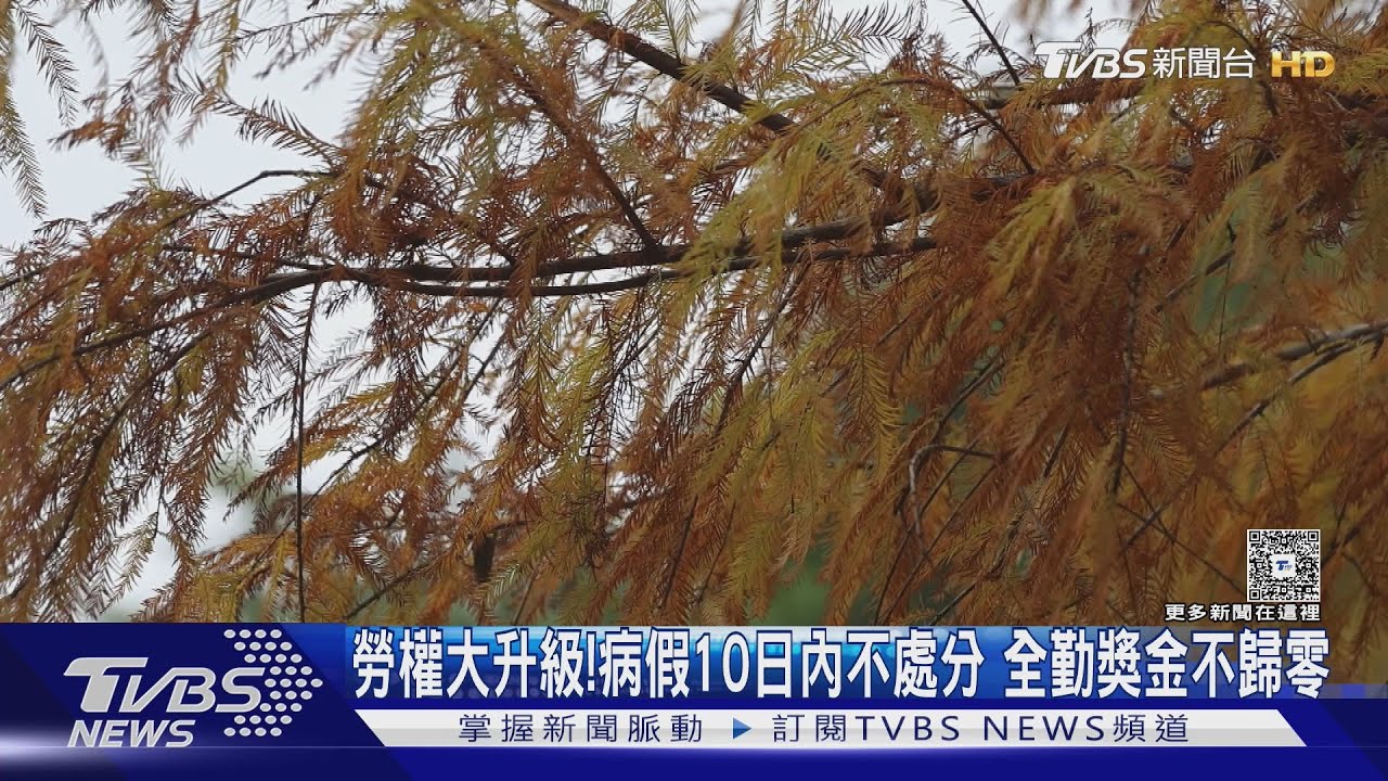 勞權大升級！病假10日內不處分　全勤獎金不歸零