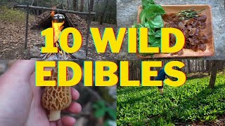 Foraging 10 Spring Wild Edibles! Ramps, Stinging Nettle, Morel Mushrooms Hunting 2023