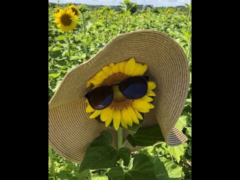 Grasu XXL ❌ F Charm  -  Eu Cu Mine Pe Drumul Spre Succes //  Remix