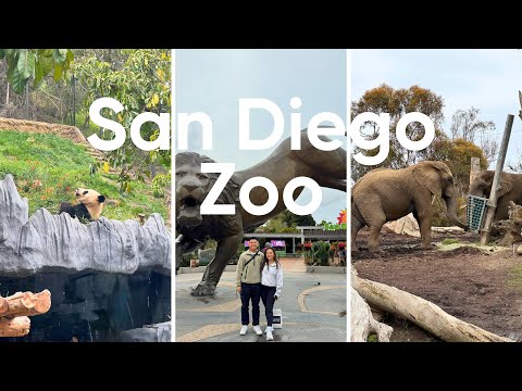 What You Must Know Before Visiting the SAN DIEGO ZOO!