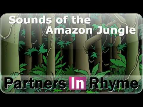 Sounds of the Amazon Jungle from Sound-effect.com