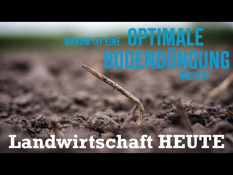 Warum ist eine optimale Bodendüngung wichtig? - Landwirtschaft HEUTE