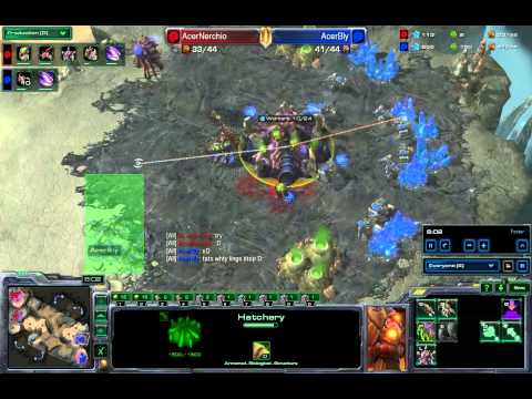 Starcraft2: AcerBly vs AcerNerchio ZvZ