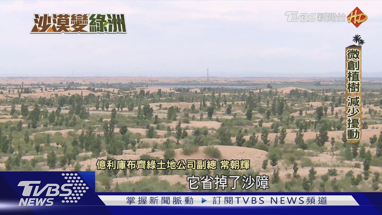 陸荒漠化面積27.4% 「科技種樹」與沙爭地科技種樹