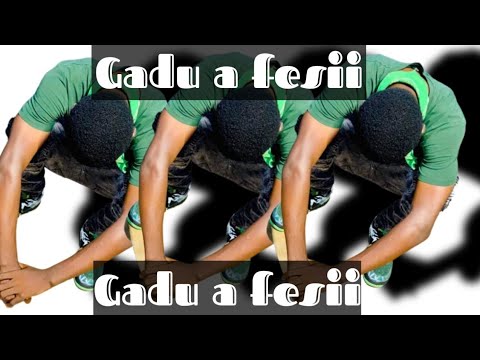 JØRGA (GADU A FESII) OFFICIAL MUSIC