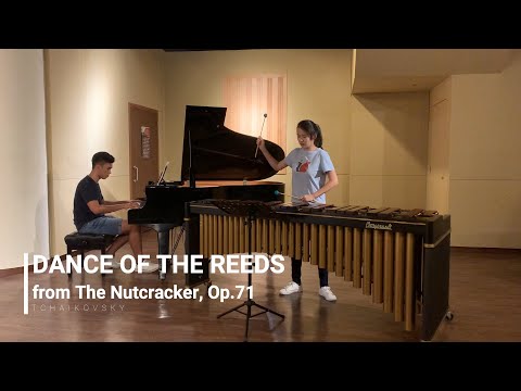 ABRSM G4 Percussion 1990 (TP7) Dance of the Reeds from The Nutcracker, Op. 71 - Tchaikovsky