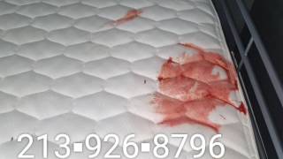 Professional Mattress Cleaning - Vomit Removal