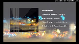 Esteban Paez - Caribbean wind (Bob Dylan cover en Español)