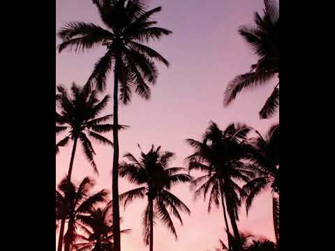 Geseu Ft Koke Hass - Mi modo (DFVS)